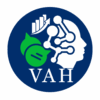 vic automations hub logo (1)